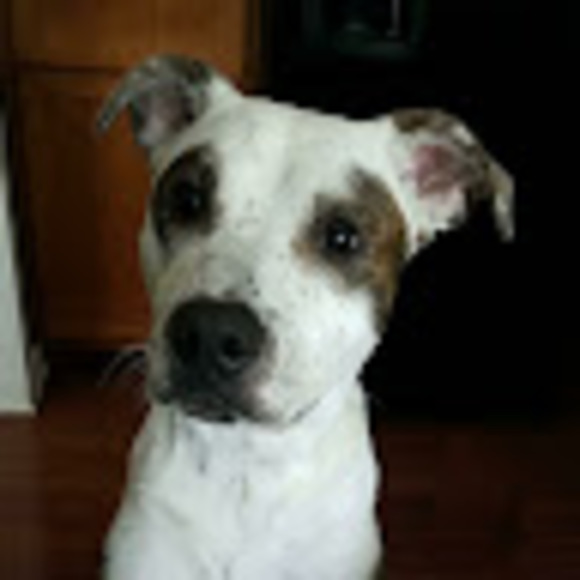 Meet your Posher, Valerie - Picture 1 of 1